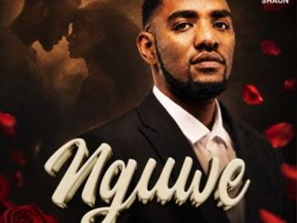 Ace Shaun, Deep London & Sobzeen - Nguwe ft. Mthandazo Gatya