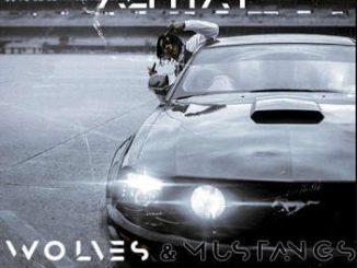 Alpha P - Mustang