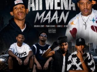 Biblow & Zirry, Piano Essence, Loony Q & Dt - Aii Wena Maan