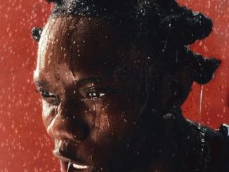 Blaqbonez - Fine Shyt ft. Tml Vibez