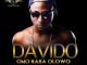 Davido - Dami Duro