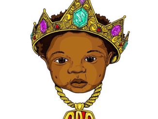Davido - Dodo