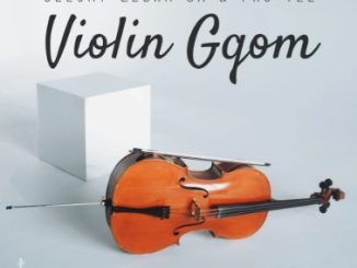 Deejay Zebra Sa - Violin Gqom