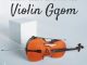 Deejay Zebra Sa - Violin Gqom