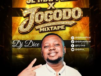 Dj Dice - Je Mappelle X Jogodo Afrobeat Vs Amapiano Mixtape