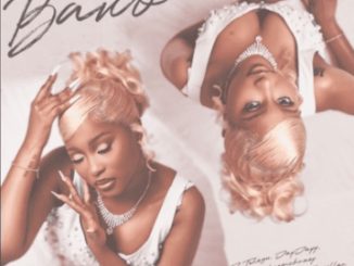 Dj Tshegu, Jayjayy, Bassie & Leemckrazy - Bawo ft. Sims Noreng & Khathapillar