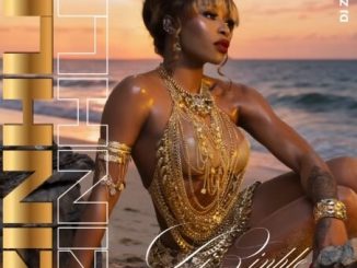 Dj Zinhle - Njengemali ft. Dj Lace, Nayvee Womculo, Msindo’listo & Thobani White
