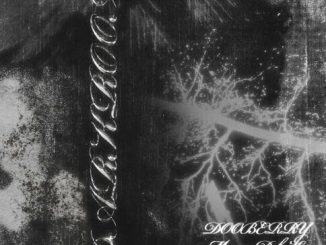 Dooberry & Dt.mo - DARKROOM ft. Morena deh keys
