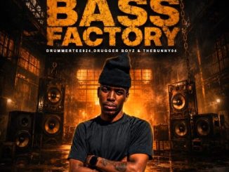 Drummertee924, Drugger Boyz & Thebunny04 - The Bass Factory (ep)