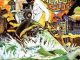 Fela Kuti - I No Get Eye for Back