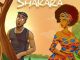 Gaskillz - Shakara