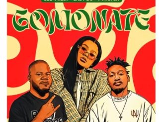 Gee 4 Rest, Lady Du & T-man Sa - Gomonate