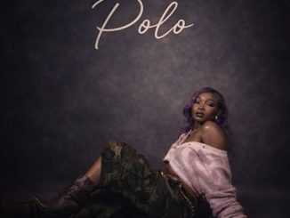 Guchi - Polo