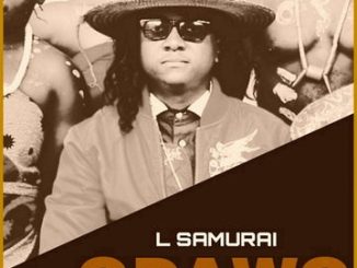L Samurai - Odawo