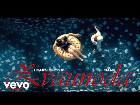 Learn Zimbabwe - Zvaunoda ft. sane.wav