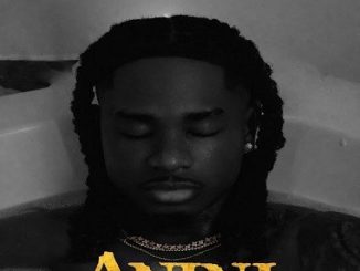 Lil Kesh - Anini (thief)