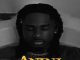 Lil Kesh - Anini (thief)