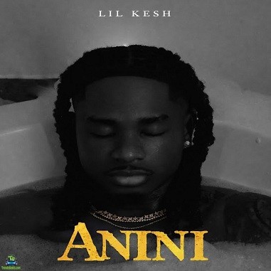 Lil Kesh - Anini (thief)