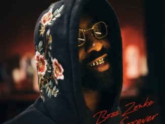 Lyrics: Riky Rick - Raindrops
