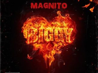 Magnito - Biggy