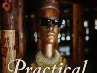 Micky Elvis - Practical