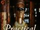 Micky Elvis - Practical
