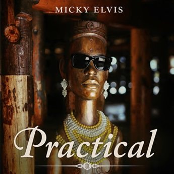 Micky Elvis - Practical