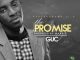 Minister Guc - The Promise (Live)