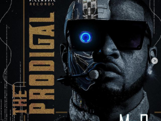 Mr P - Follow My Lead ft. Wande Coal
