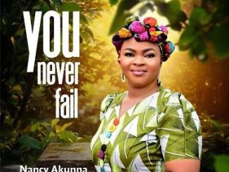 Nancy Akunna - You Never Fail