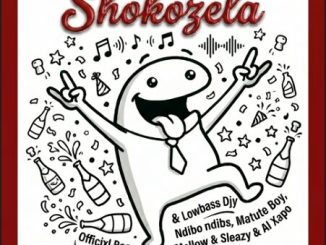 Officixl Rsa, Lowbass Djy & Ndibo Ndibs - Shokozela ft. Mellow & Sleazy & Matute Boy