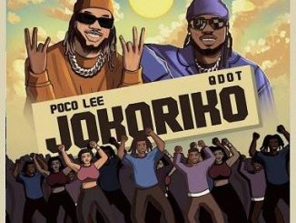 Poco Lee - Jokoriko ft. Qdot
