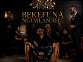 Pushkin Rsa & Major Artic - Bekefuna Ngimlandele ft. Lokzin Keys & Passion Redd