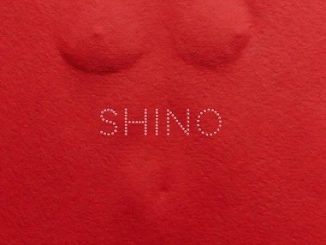 Skiibii - Shino ft. Oxlade