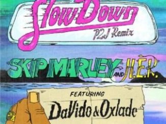 Skip Marley - Slow Down (remix) ft. Davido, Oxlade & H.e.r