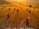 Sound Of Salem - We Will Be Many (new Song) ft. Lawrence Oyor, Moses Akoh