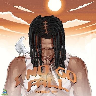 Sparkle Tee - I No Go Fall