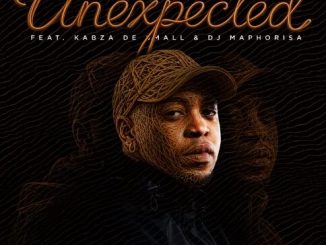 Stakev & Xduppy - Unexpected ft. Kabza De Small & Dj Maphorisa