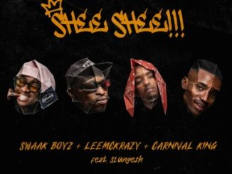 Swaak Boyz, Leemckrazy & Carnival King - SHEE SHEE!!! ft. Slungesh