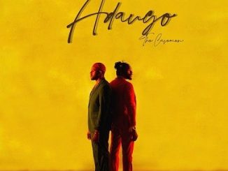 The Cavemen - Adaugo