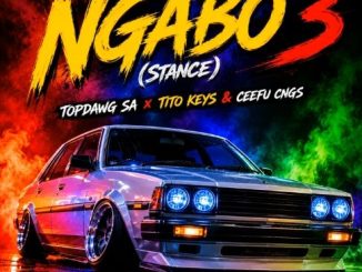 Topdawg Sa, Tito Keys & Ceefu Cngs - Ngabo 3 (Stance)
