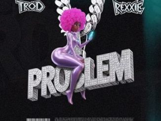 Trod - Problem ft. Rexxie