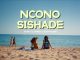 Video: Jayjayy, Dj Tshegu & Quinton Deep - Ncono Sishade