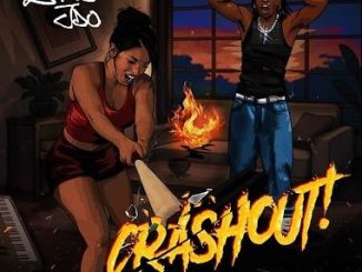 Zhus Jdo - Crashout