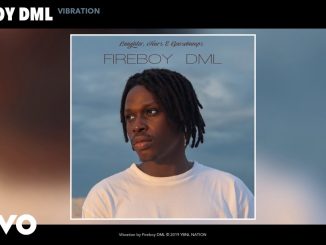 Fireboy Dml – Vibration