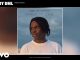 Fireboy Dml – Vibration
